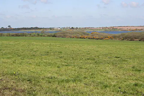SW7036 : Pasture on the edge of Stithians Reservoir