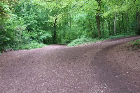 Image shared for Ashton Court Circular with Quarry