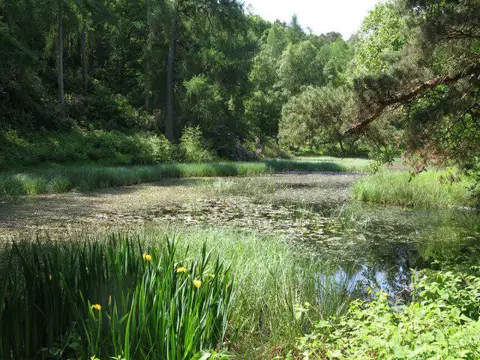 NY8063 : Morralee Tarn
