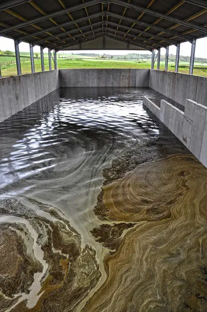 ST0718 : Mid Devon : Lower Whipcott Farm - Slurry Pit