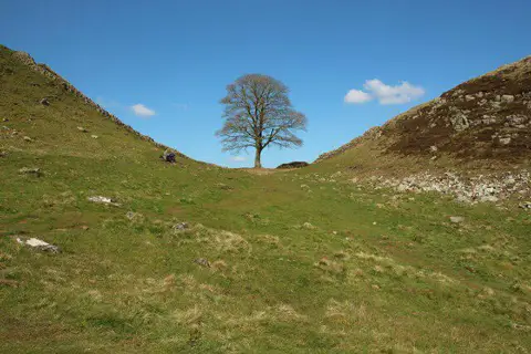 NY7667 : Sycamore Gap, Hadrian's Wall