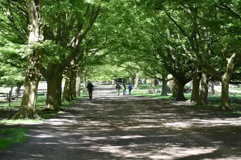 TQ1872 : Path towards Pembroke Lodge