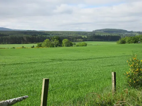 NO7696 : Field near Mills of Drum