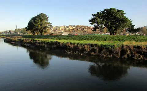 SW9972 : Between the trees, Wadebridge