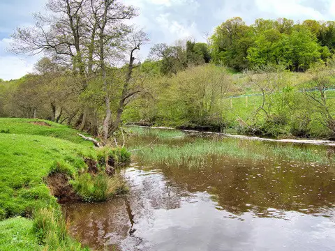 NU1913 : River Aln near Alnwick Garden