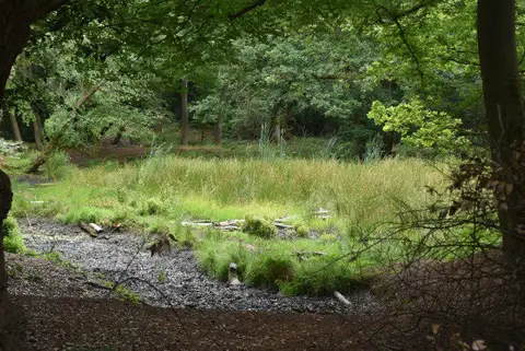 TQ4095 : Dried up pond