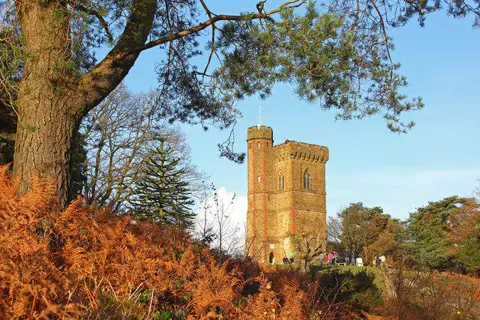 Image shared for Leith Hill: woodland circuit from Starveall Corner