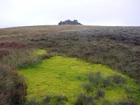 NT8921 : Sphagnum bog south-west of Braydon Crag