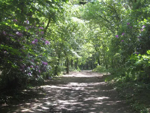 SW6443 : Path from the North Cliff carpark in North Cliff Plantation