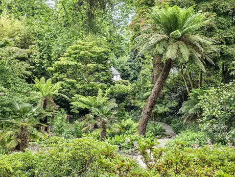 SW8339 : Trelissick Garden, 2