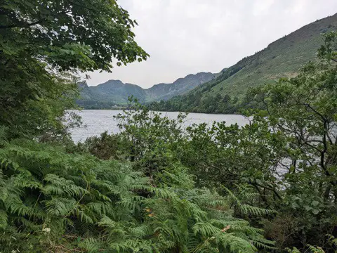 SH7561 : Llyn Crafnant seen through the trees and bracken