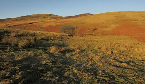 NT9517 : Moorland near Linhope Spout