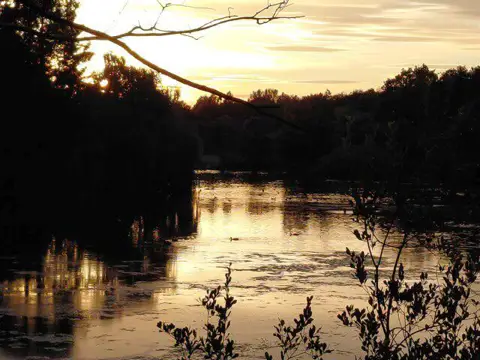 Image shared for Golden Acre Park Arboretum and Lake