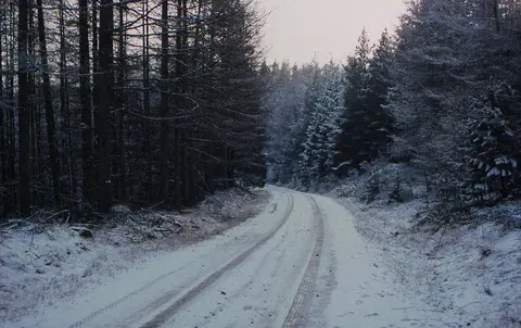 SH7226 : Forestry track above Pont Dôl-gefeiliau