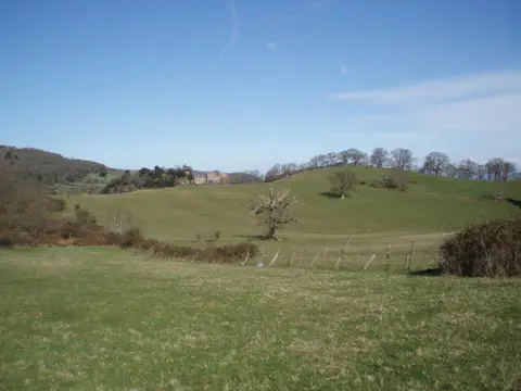 SS9942 : Dunster Deer Park