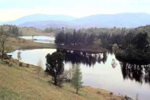 SD3399 : Tarn Hows