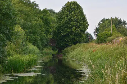 ST2926 : Taunton Deane : Bridgwater & Taunton Canal