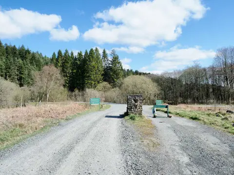 NT7800 : End (and start) of forest drive