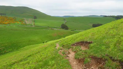 NT8427 : On St Cuthbert's Way descending towards Halter Burn near Kirk Yetholm