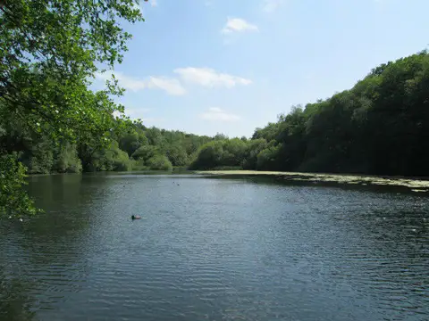 Image shared for Deep Hayes Country Park: Cumberledge Pool and woodland circuit