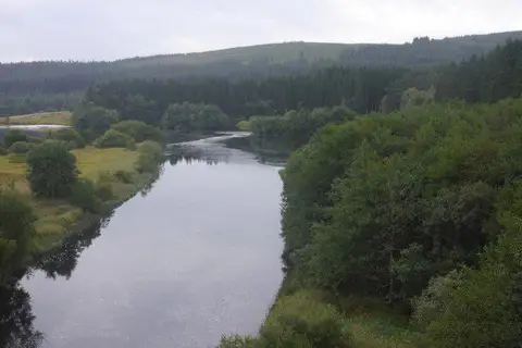 NY6392 : Kielder Burn