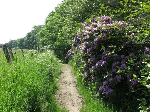 NT9304 : Public Bridleway near Harbottle