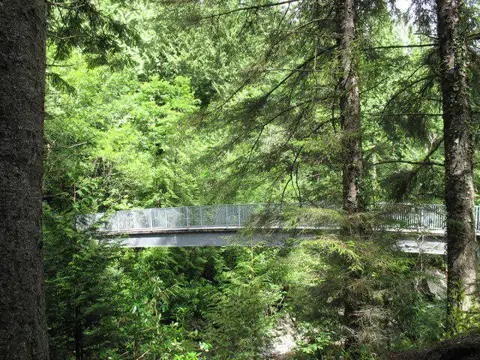 Image shared for Coed y Brenin: Pont Ty'n-y-groes and Mawddach Forest Trail