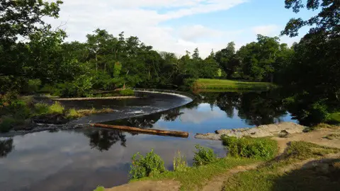 SJ1943 : Horseshoe Falls, Berwyn near Llangollen