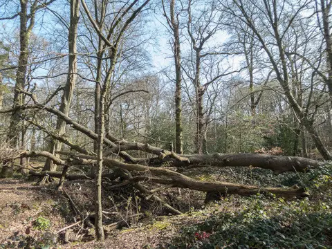 TQ2898 : Camlet Moat, Trent Park, Cockfosters, Hertfordshire
