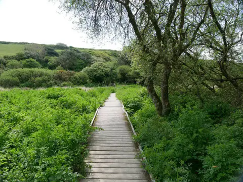 SW6526 : Elevated wooden walkway across wetland