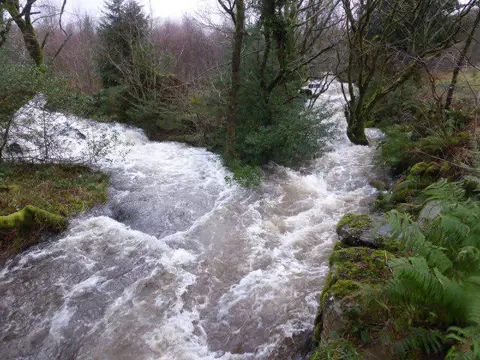 SH5750 : Island in the Afon Cwm-du