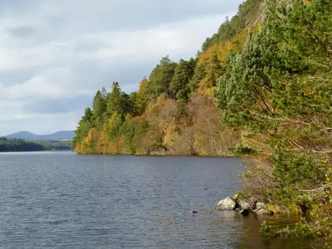 NH6590 : Loch Migdale.