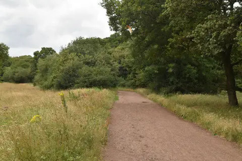 Image shared for Epping Forest Holly Trail from Chingford Plain