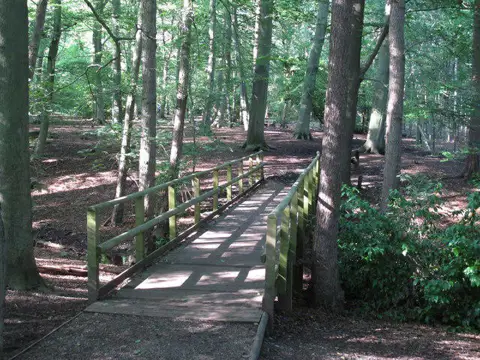 TQ6091 : Footbridge over stream