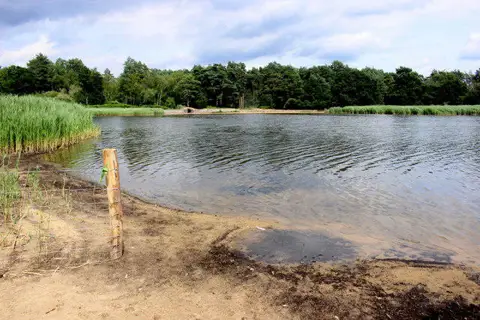 SU8541 : Frensham Little Pond