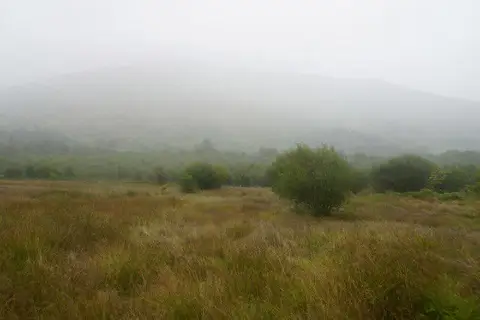 SH5749 : Rough grazing near Hafod Ruffydd Ganol