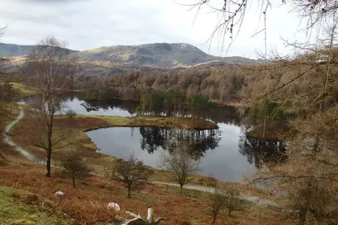 SD3399 : Tarn Hows