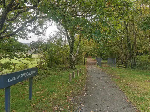 Image shared for Mawddach Trail: Penmaenpool to Dolgellau Riverside Return