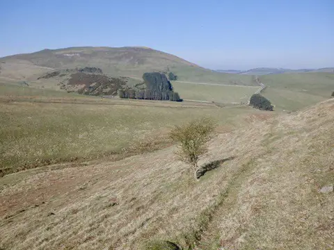 NT8427 : Path beneath Green Humbledon